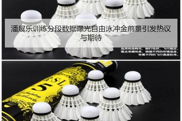 潘展乐训练分段数据曝光自由泳冲金前景引发热议与期待