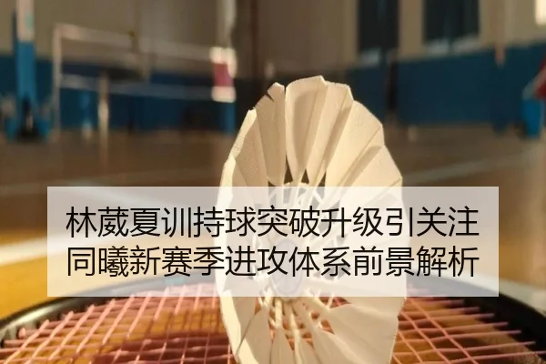 林葳夏训持球突破升级引关注 同曦新赛季进攻体系前景解析
